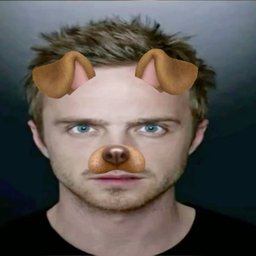 gravatar