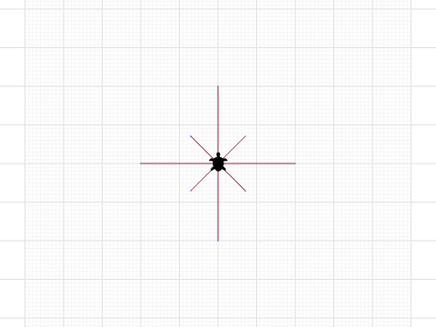 Turtle coordinates