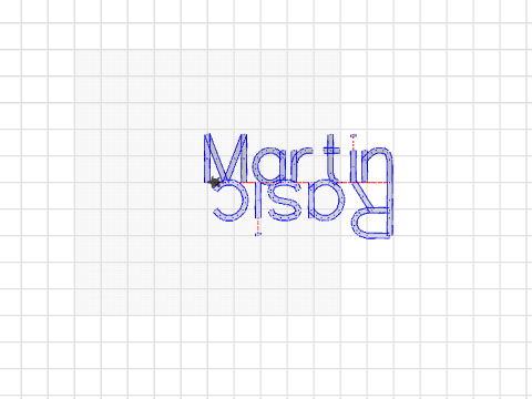 martin_turtle