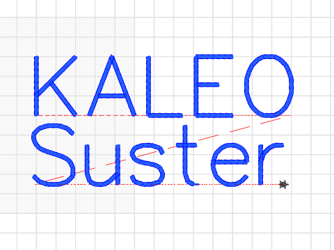 KALEO SUSTER