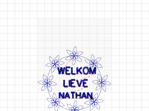 Geboorte Fien