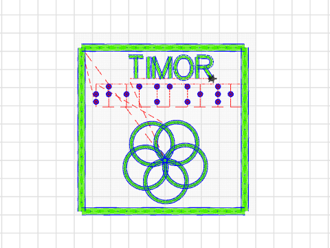 timor in braille 1