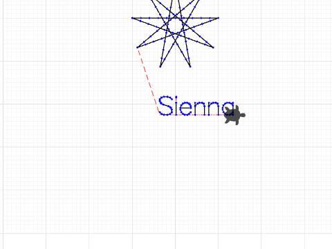 The star Turtle Sienna