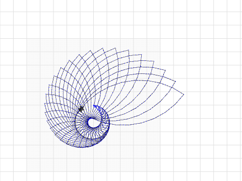 nautilus petal