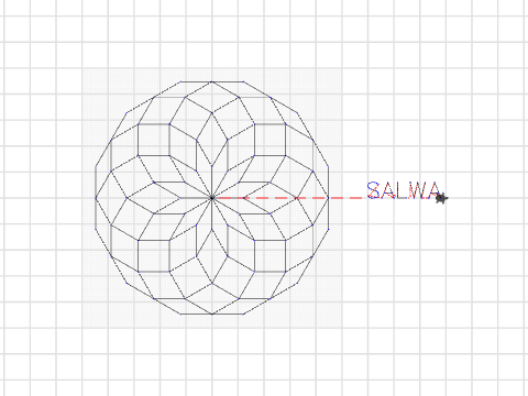 Salwa