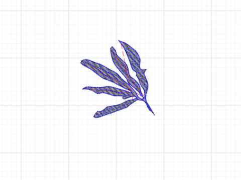 BrownSeaweedMini