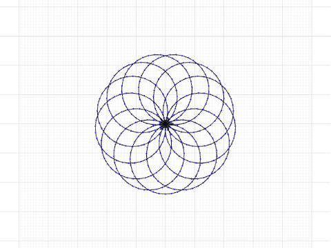 13 petals