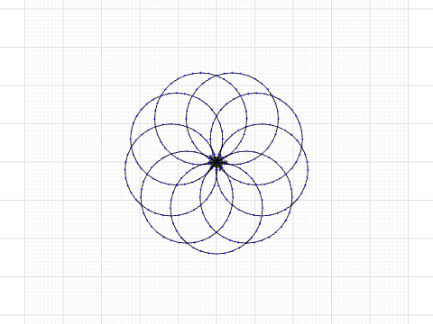 Flower 13 Petals