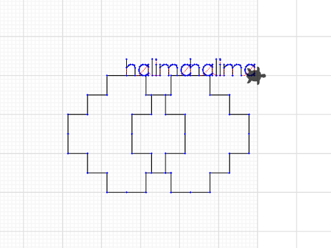 halima own digner