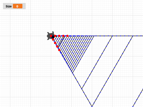 polygon project