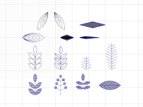 Leaf Study