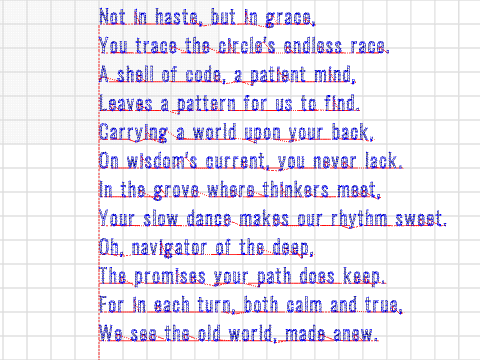 a poem for the turtle