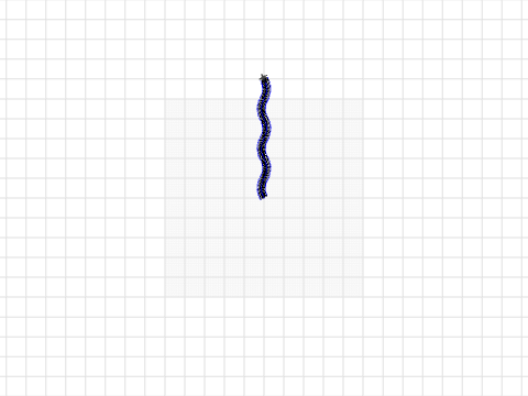 squiggly line