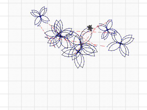 Butterflies Collections