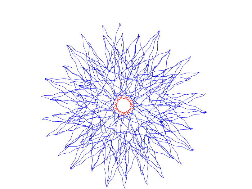 Sternblume13