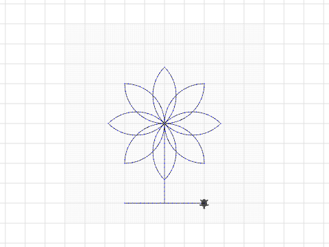 Paloma flower