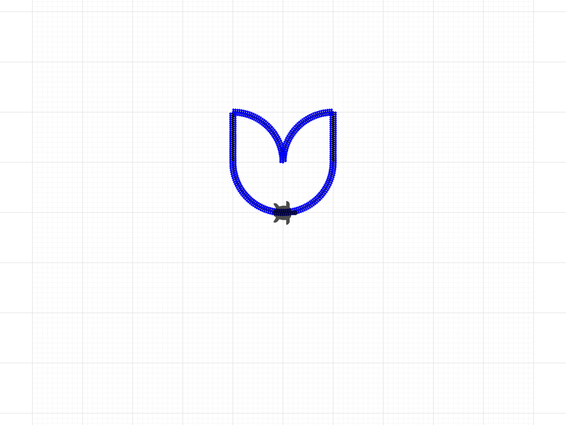Tulip Flower