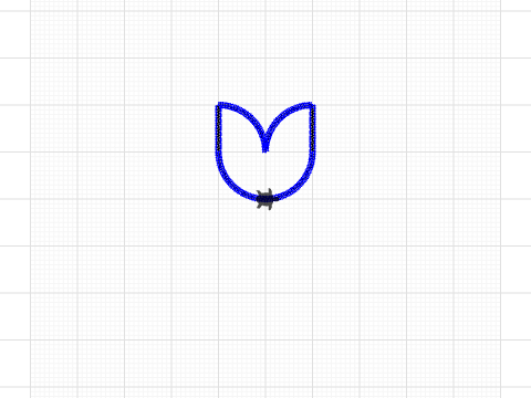 tulip flower